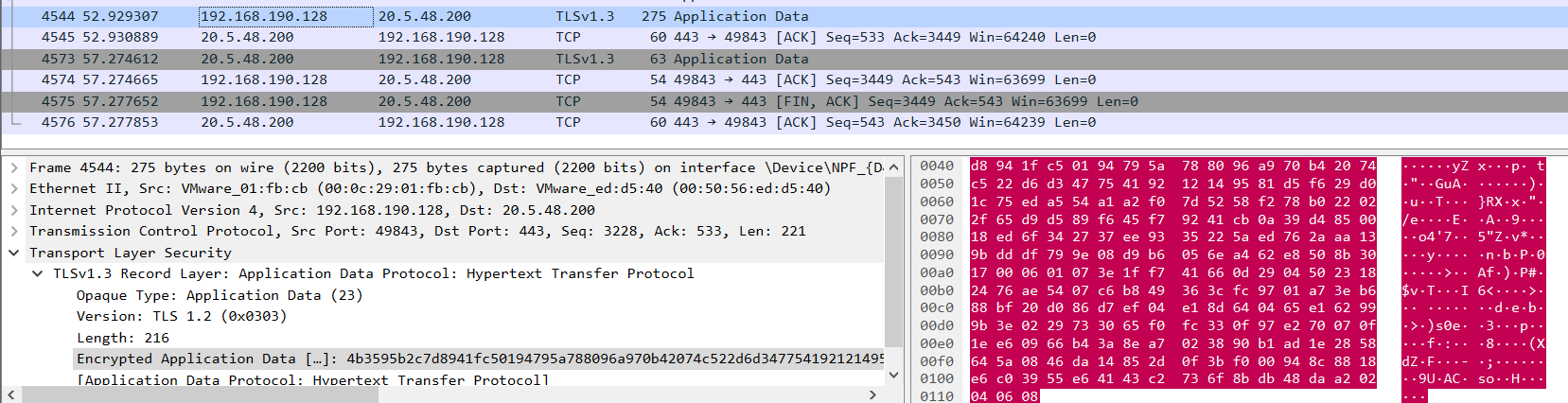 The possible flag packet